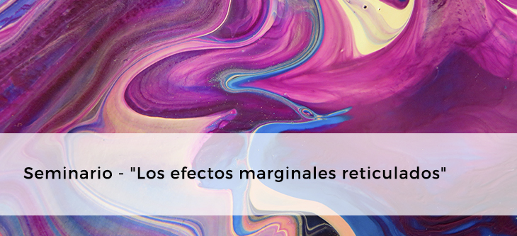 Seminario – «Los efectos marginales reticulados»